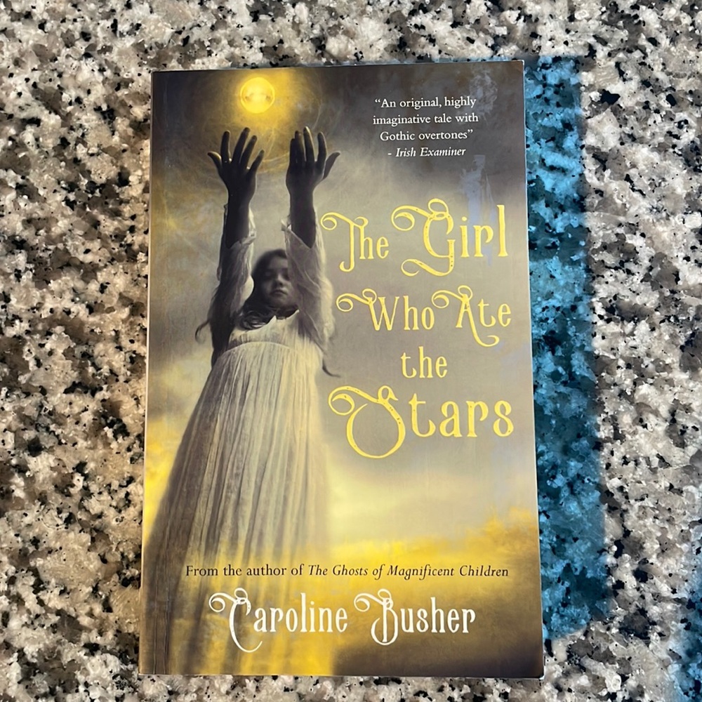 ☘️2/$15☘️ Caroline Busher Novel